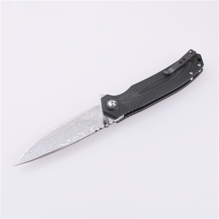 Shieldon Pisau Lipat 9Cr18Mov 67-Lapisan Baja Damaskus Pisau G10 + Pegangan Serat Karbon 7092D