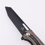 Shieldon Folding Pocket Knife Boa D2 Blade G10 Handle 9043G1