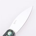 Shieldon 접이식 포켓 나이프 Bulbasaur Sandvik 14C28N 블레이드 G10 핸들 9061G-M