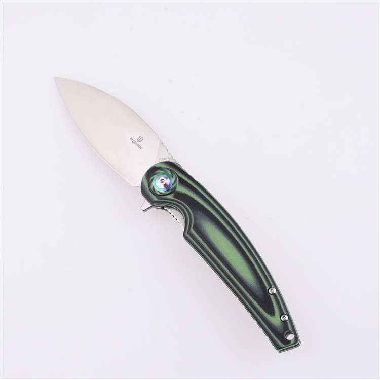 Coltello tascabile pieghevole Shieldon Bulbasaur Sandvik 14C28N Lama G10 Manico 9061G-N