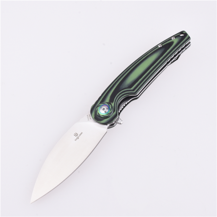 Coltello tascabile pieghevole Shieldon Bulbasaur Sandvik 14C28N Lama G10 Manico 9061G-N