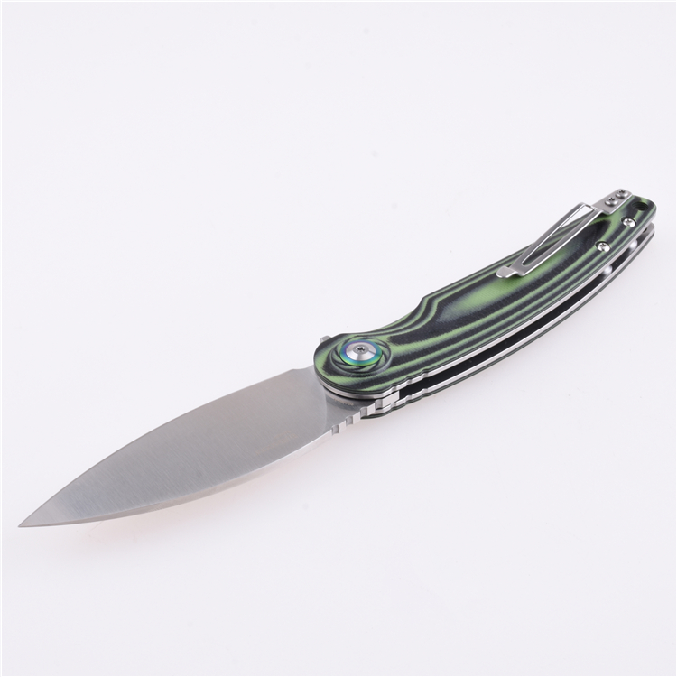 Coltello tascabile pieghevole Shieldon Bulbasaur Sandvik 14C28N Lama G10 Manico 9061G-N