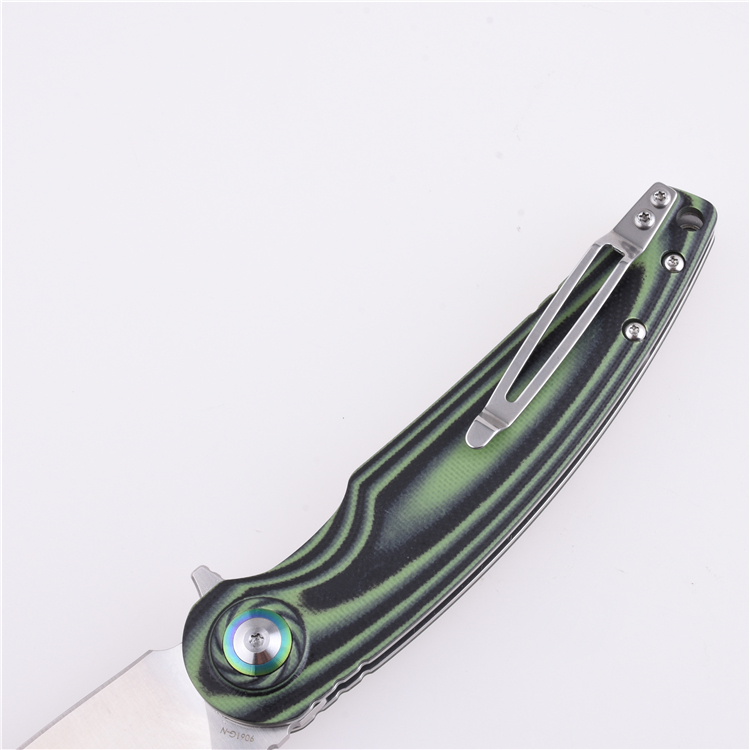 Coltello tascabile pieghevole Shieldon Bulbasaur Sandvik 14C28N Lama G10 Manico 9061G-N