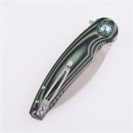 Coltello tascabile pieghevole Shieldon Bulbasaur Sandvik 14C28N Lama G10 Manico 9061G-N