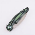 Coltello tascabile pieghevole Shieldon Bulbasaur Sandvik 14C28N Lama G10 Manico 9061G-N